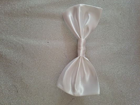 Barrette à cheveux