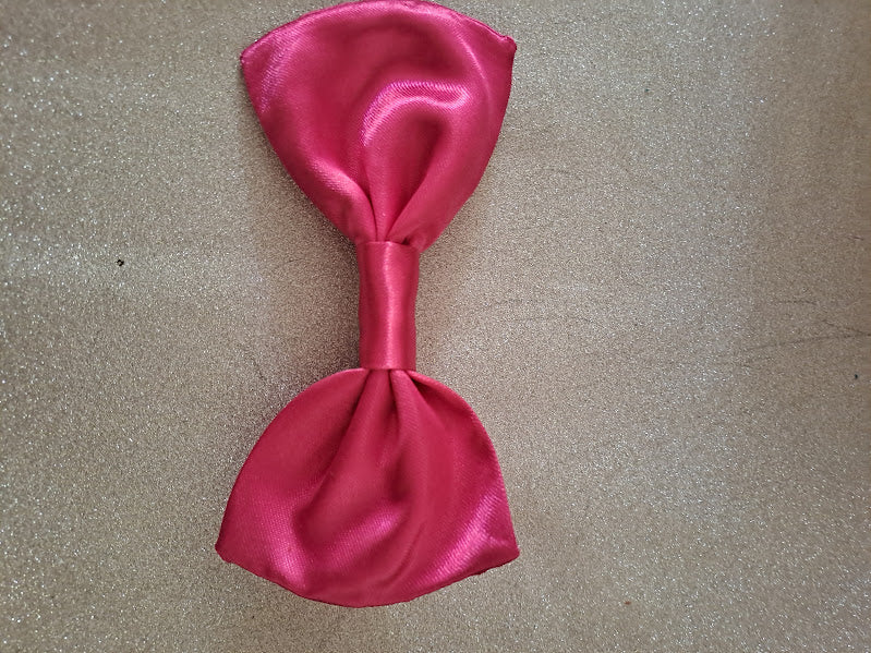 Barrette à cheveux