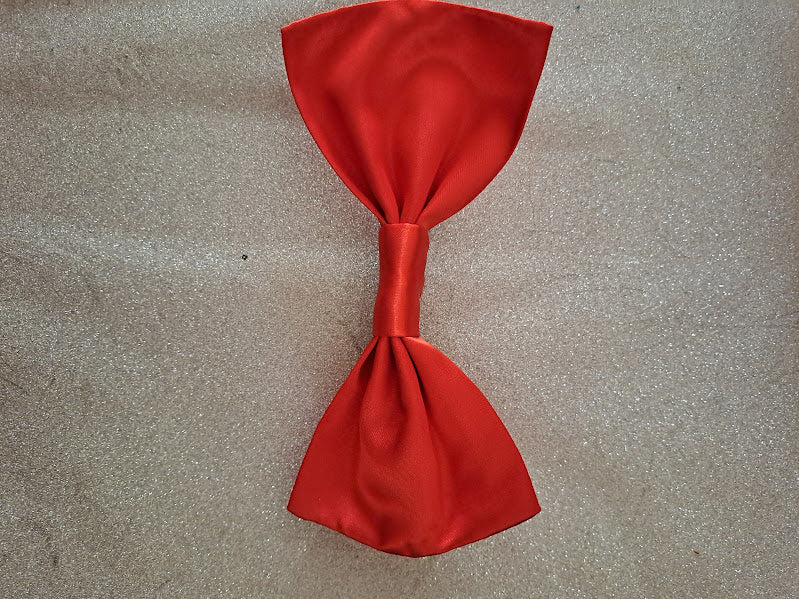 Barrette à cheveux
