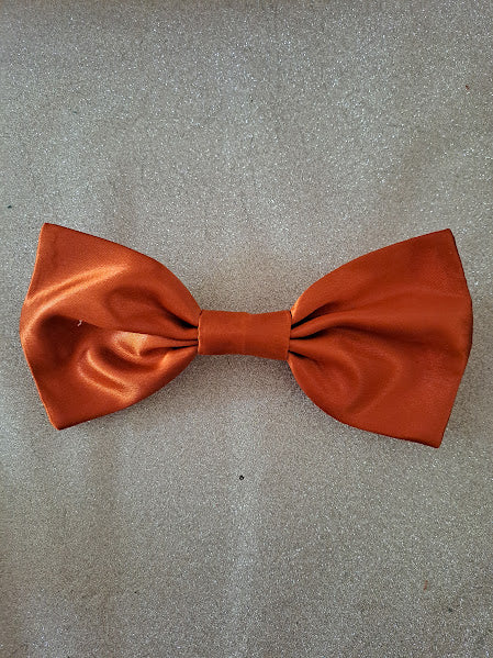 Barrette à cheveux