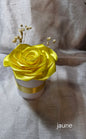 Pot 1 rose