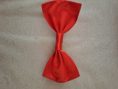 Barrette à cheveux