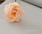 Roses éternelles en satin