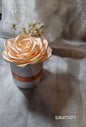 Pot 1 rose