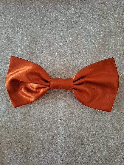 Barrette à cheveux